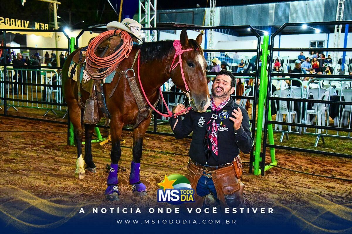 Imagem da Galeria